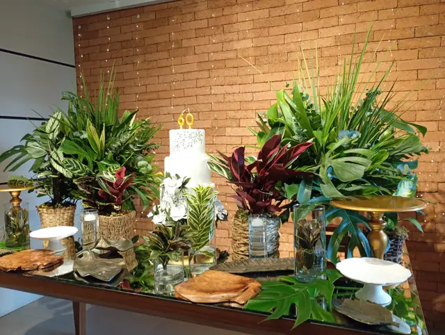 Festas realizadas no Buffet Badallus Club